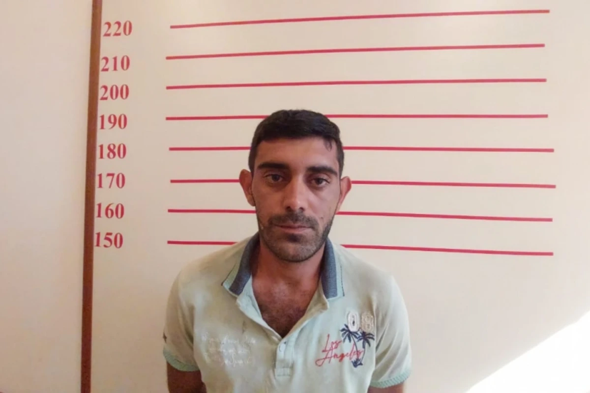 Yarım tondan çox narkotik vasitə becərən şəxslər saxlanılıb - FOTO