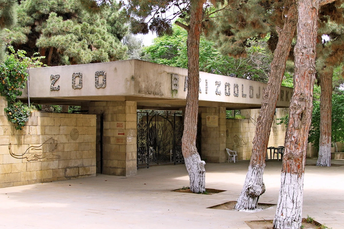 Bakı zooparkına heyvanların köçürülməsinə başlanılıb