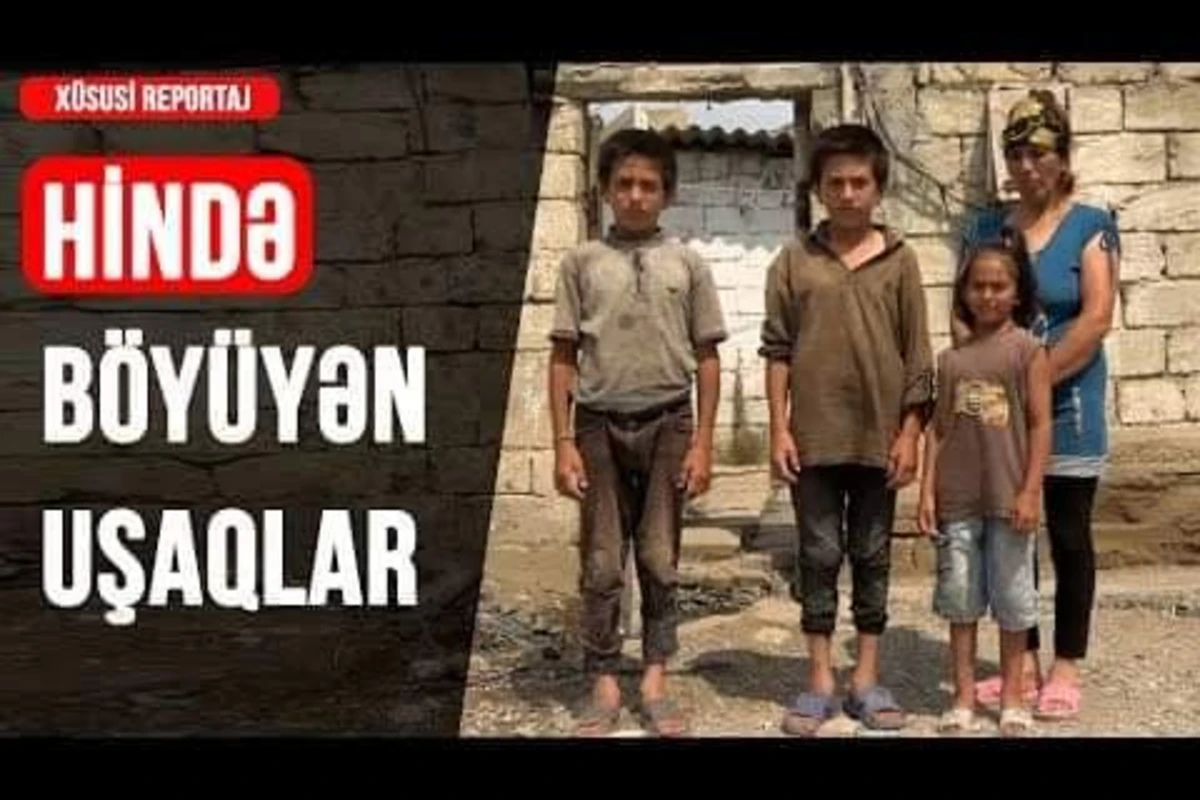Tövlədə doğulan uşaqlar - VİDEO