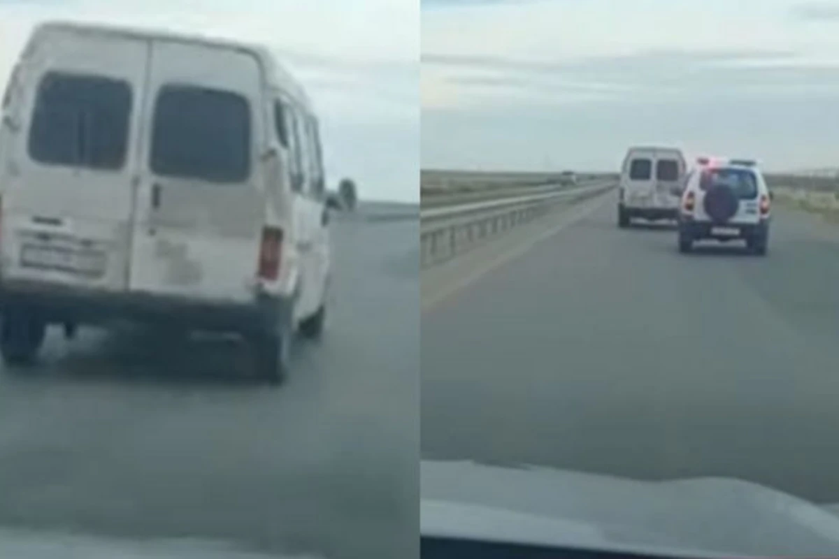 Xızıdan qoyun oğurlayaraq qaçanlar Sumqayıtda ələ keçiblər - FOTO/VİDEO