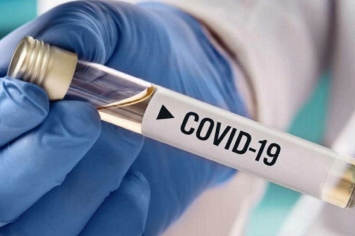 Ağac tozcuqları koronavirus daşıyıcısı ola bilərmi?