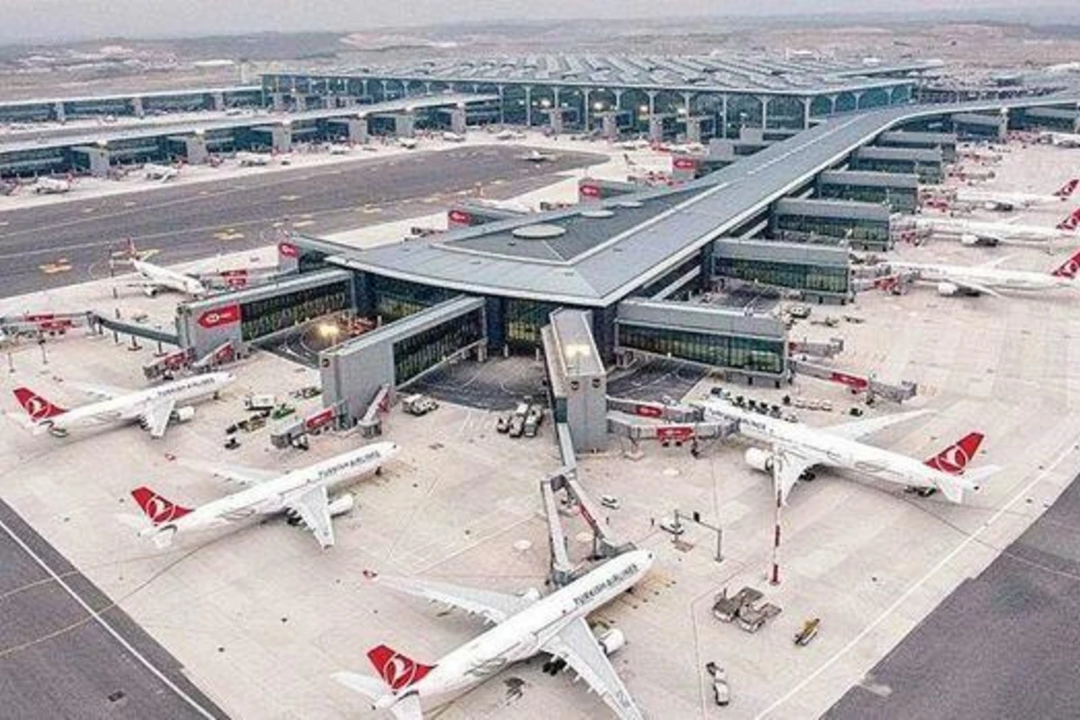 İstanbul hava limanına çəyirtkə sürüsü hücum edib