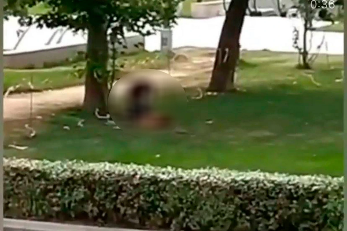 Parkda əxlaqsız görüntüləri yayılan cütlüklə bağlı DİN-dən AÇIQLAMA