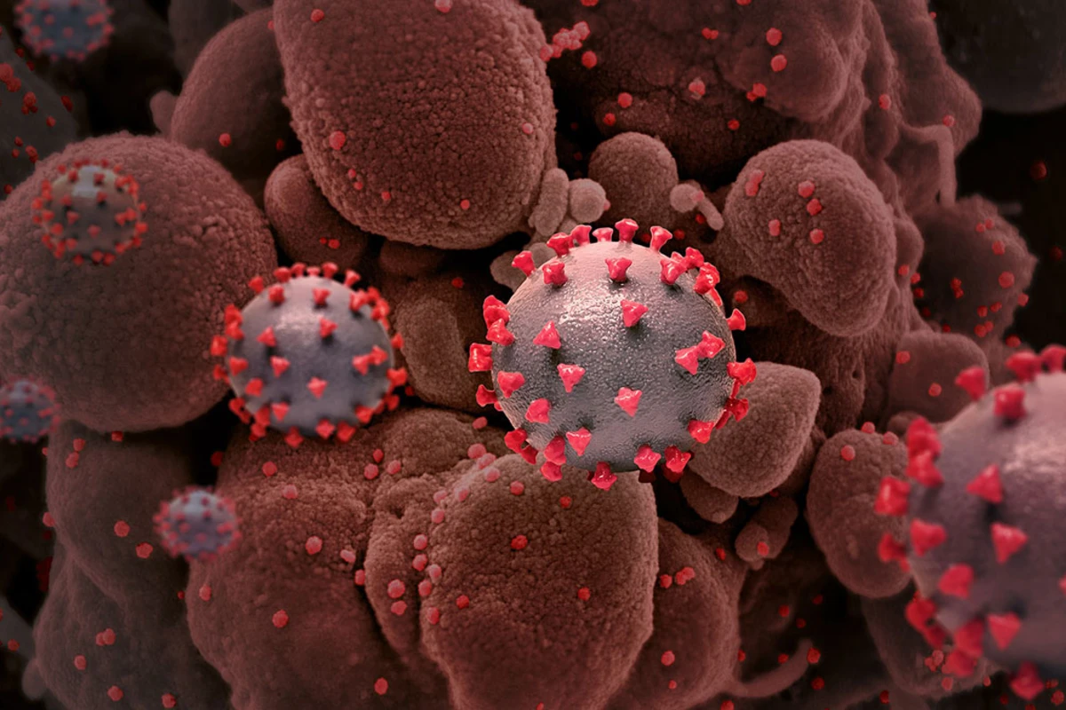 Более заразные мутации COVID-19 вытесняют остальные варианты вируса, заявил эксперт