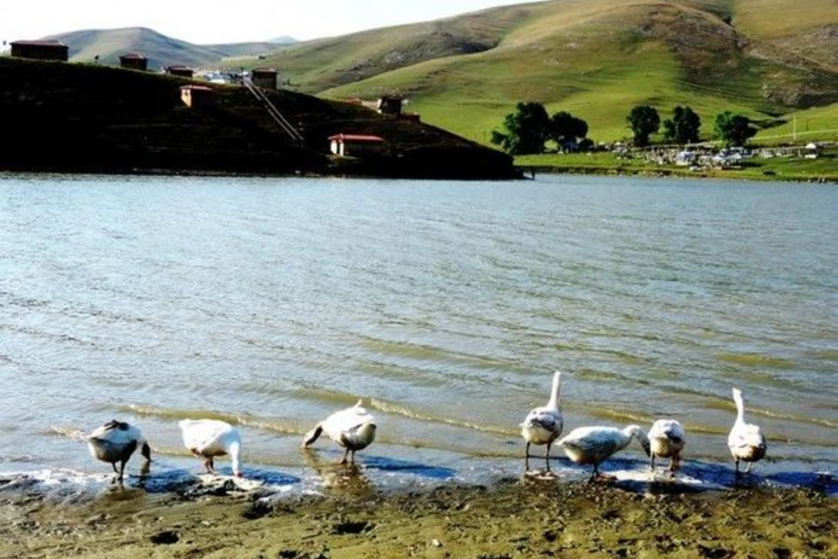 Daşkəsənin bu kəndi saatlardır işıqsız qalıb