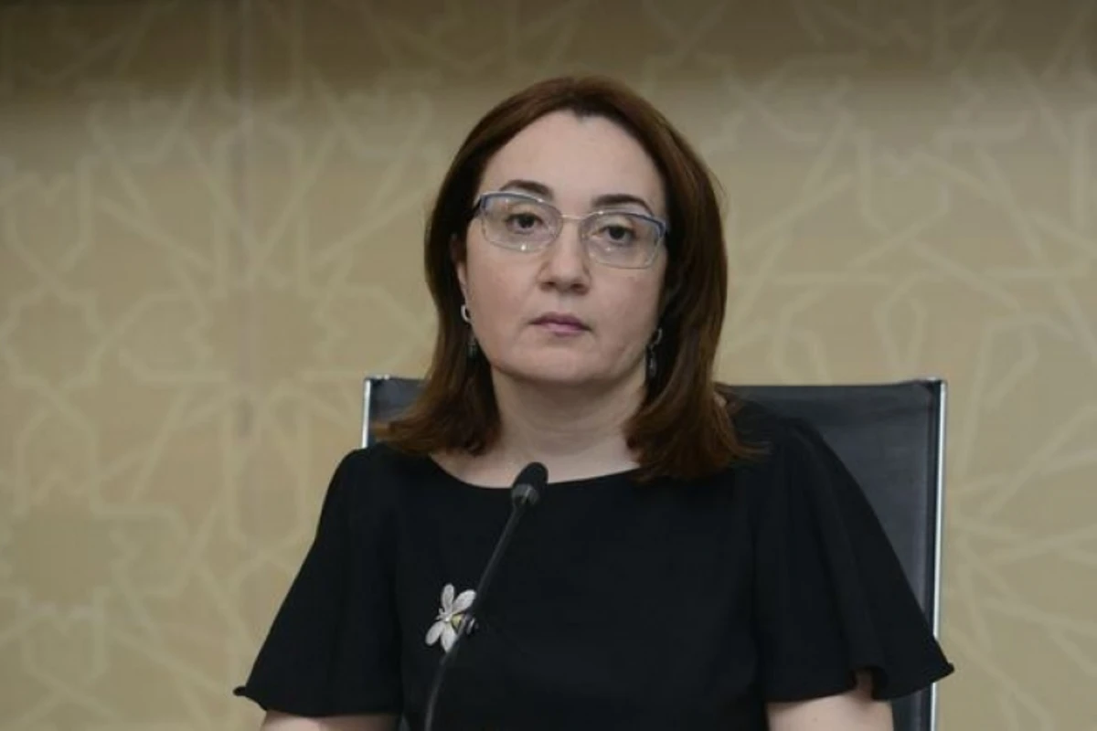 TƏBİB rəsmisi xəstəxanaların fəaliyyətini tənqid edib