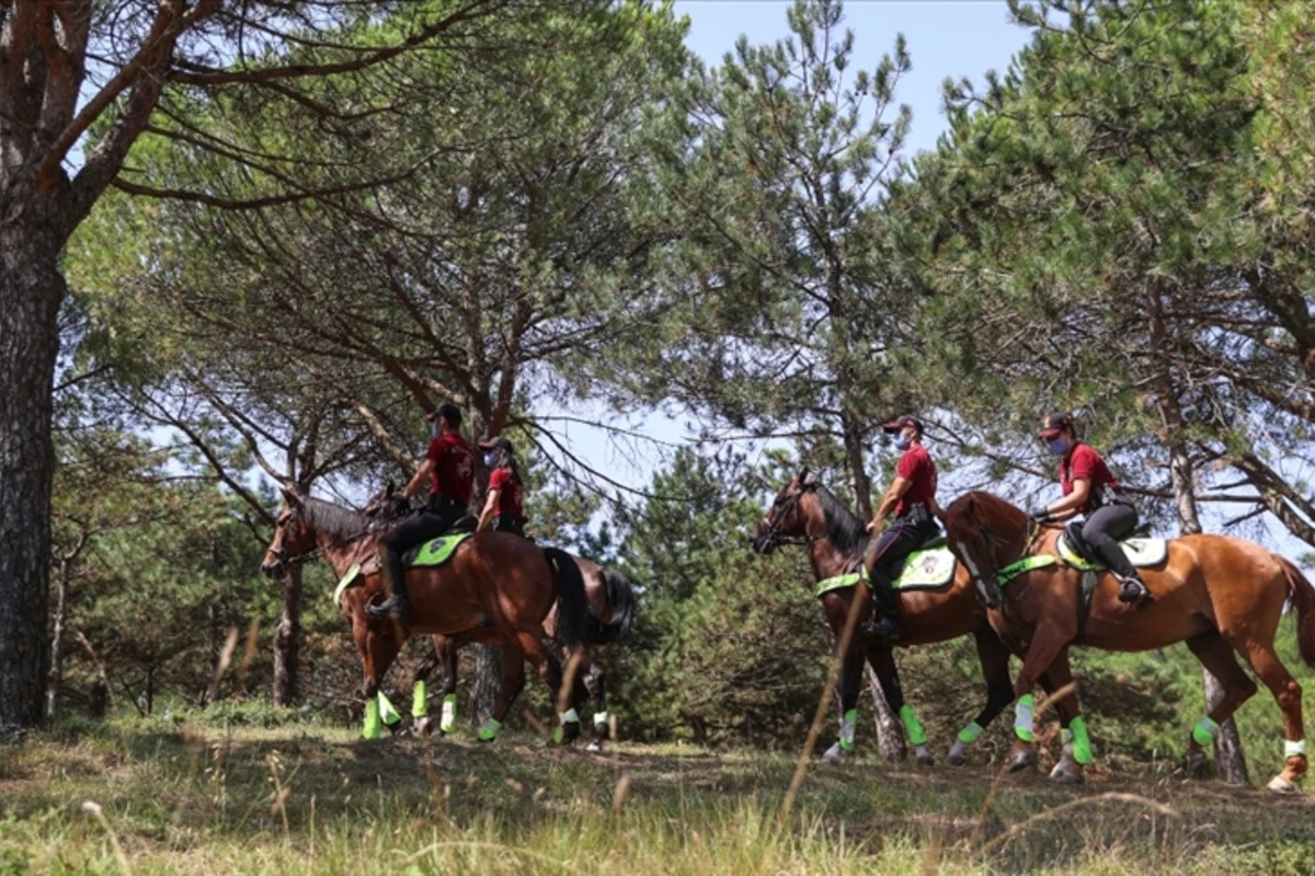 İstanbulda meşələrə girişə QADAĞA QOYULDU