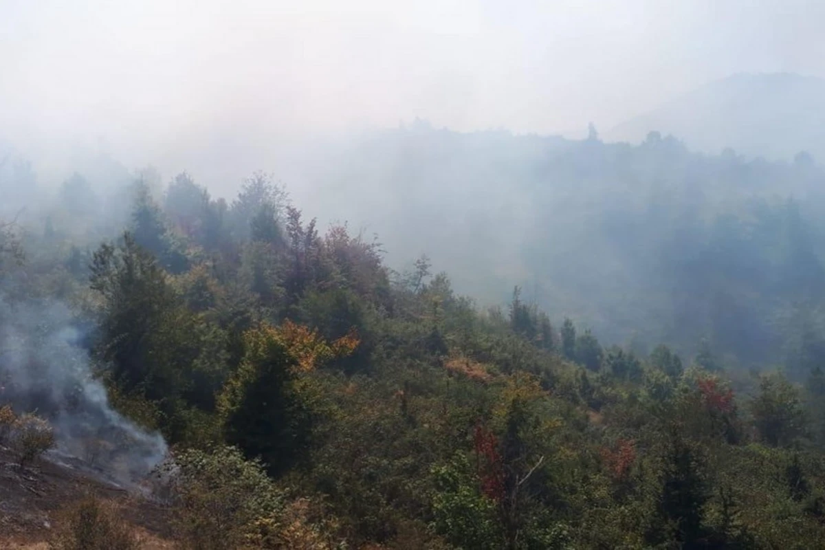 Azərbaycanda meşədə yanğın başlayıb