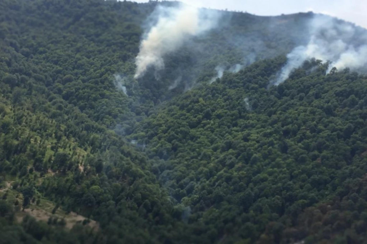 Lənkəran meşələrindəki yanğınla bağlı SON VƏZİYYƏT