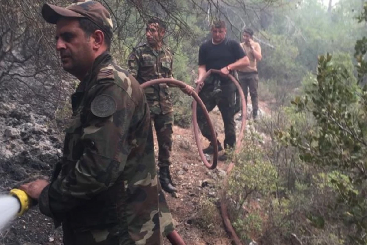 FHN generalı Süleyman Soylu və Bekir Pakdemirli ilə görüşdü - FOTO/ VİDEO