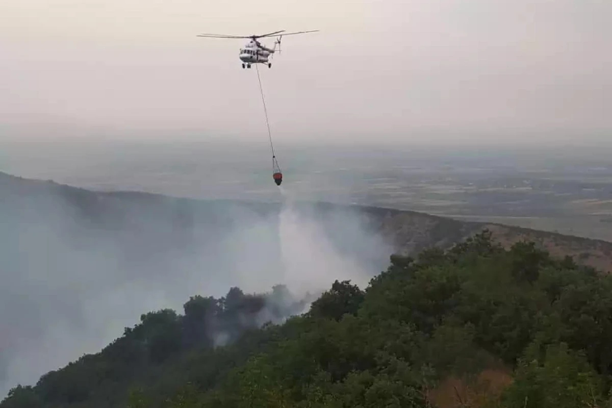 FHN Quba və Qəbələdə meşədə baş verən yanğınlarla bağlı məlumat yaydı