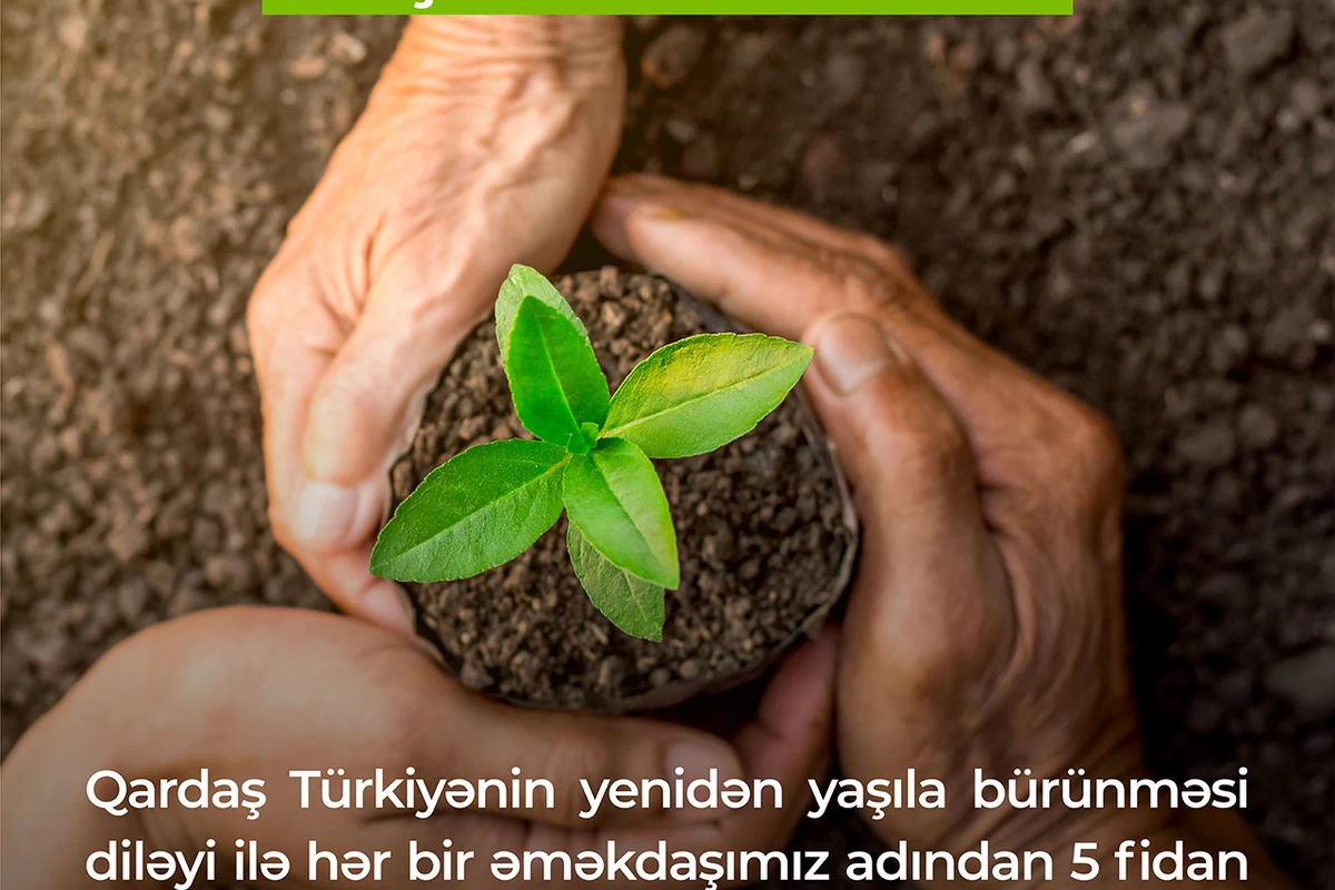 Bank BTB ailəsi qardaş Türkiyənin yenidən yaşıllaşmasına dəstək göstərdi.