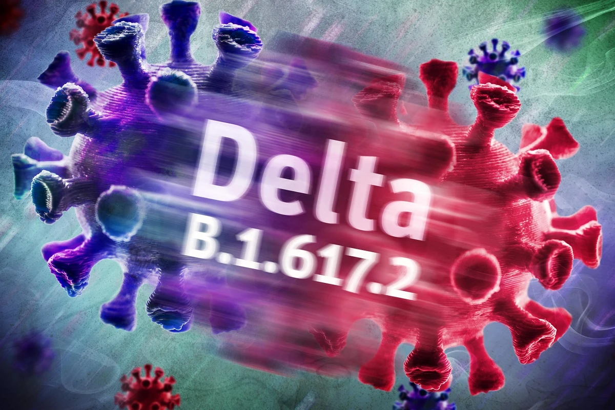 Baş infeksionist: Delta ştammı yoluxma sayını sürətlə artırır