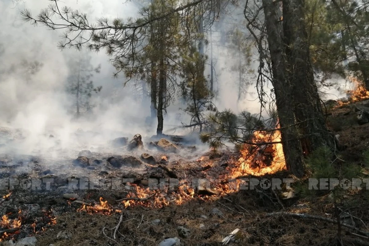 В Габале продолжается пожар в горной местности