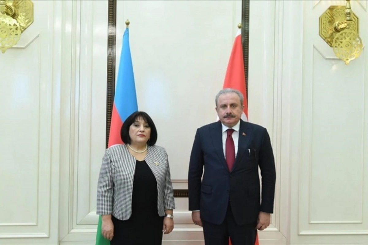 Milli Məclisin sədri türkiyəli həmkarına başsağlığı verib