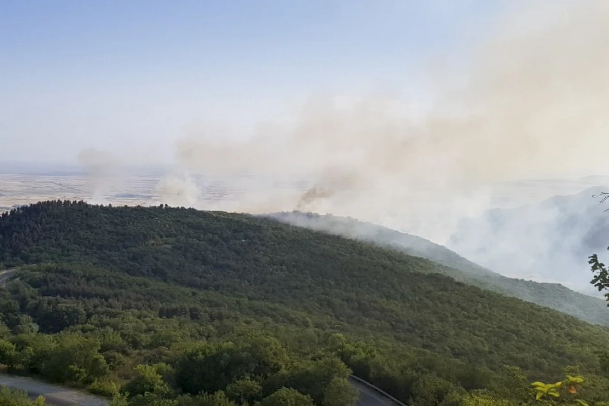 В лесном массиве Стамбула начался пожар