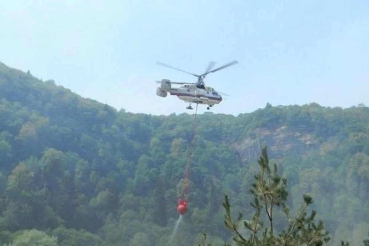 Qəbələ meşəsində yanğın: İki helikopter cəlb olundu - VİDEO
