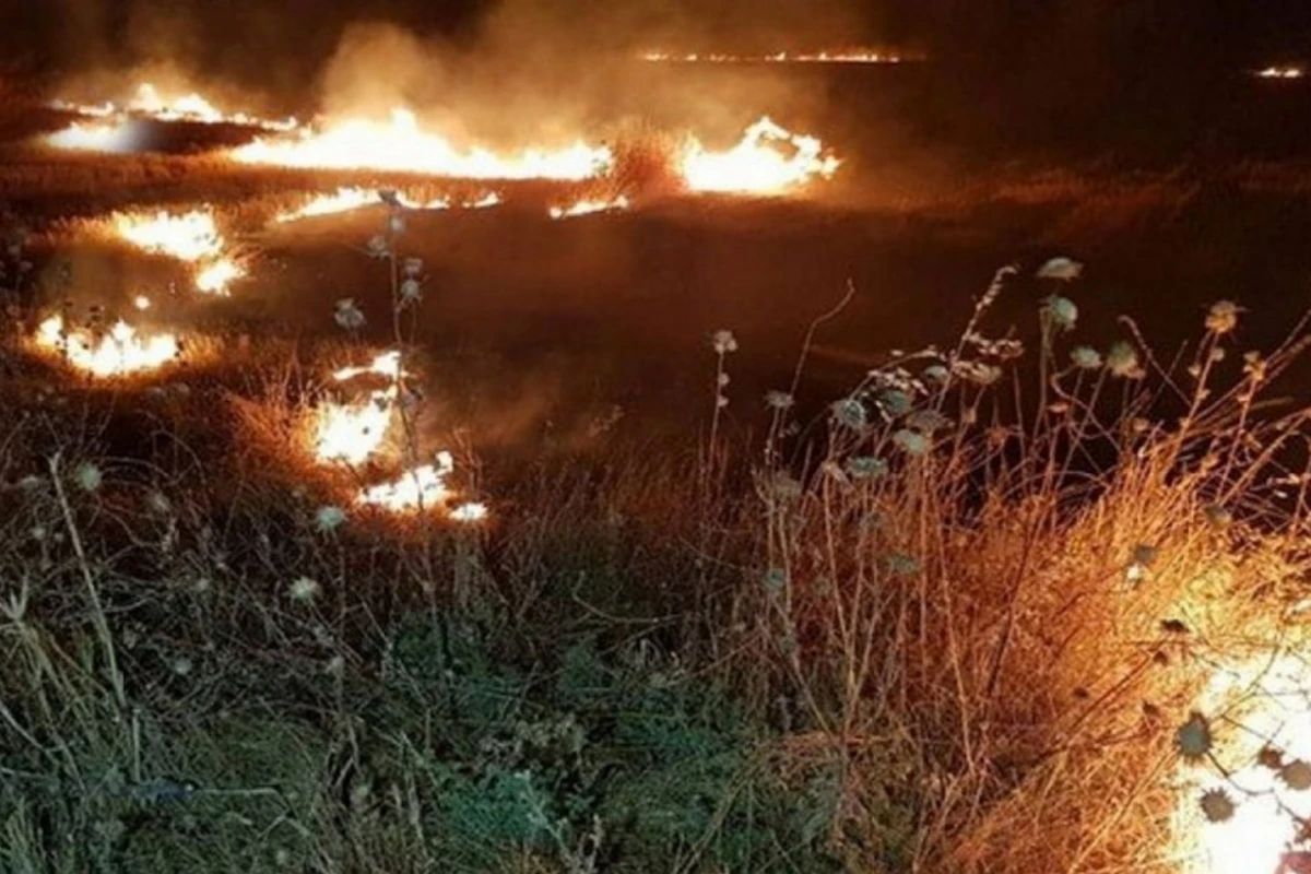 В горной местности Агсу начался пожар