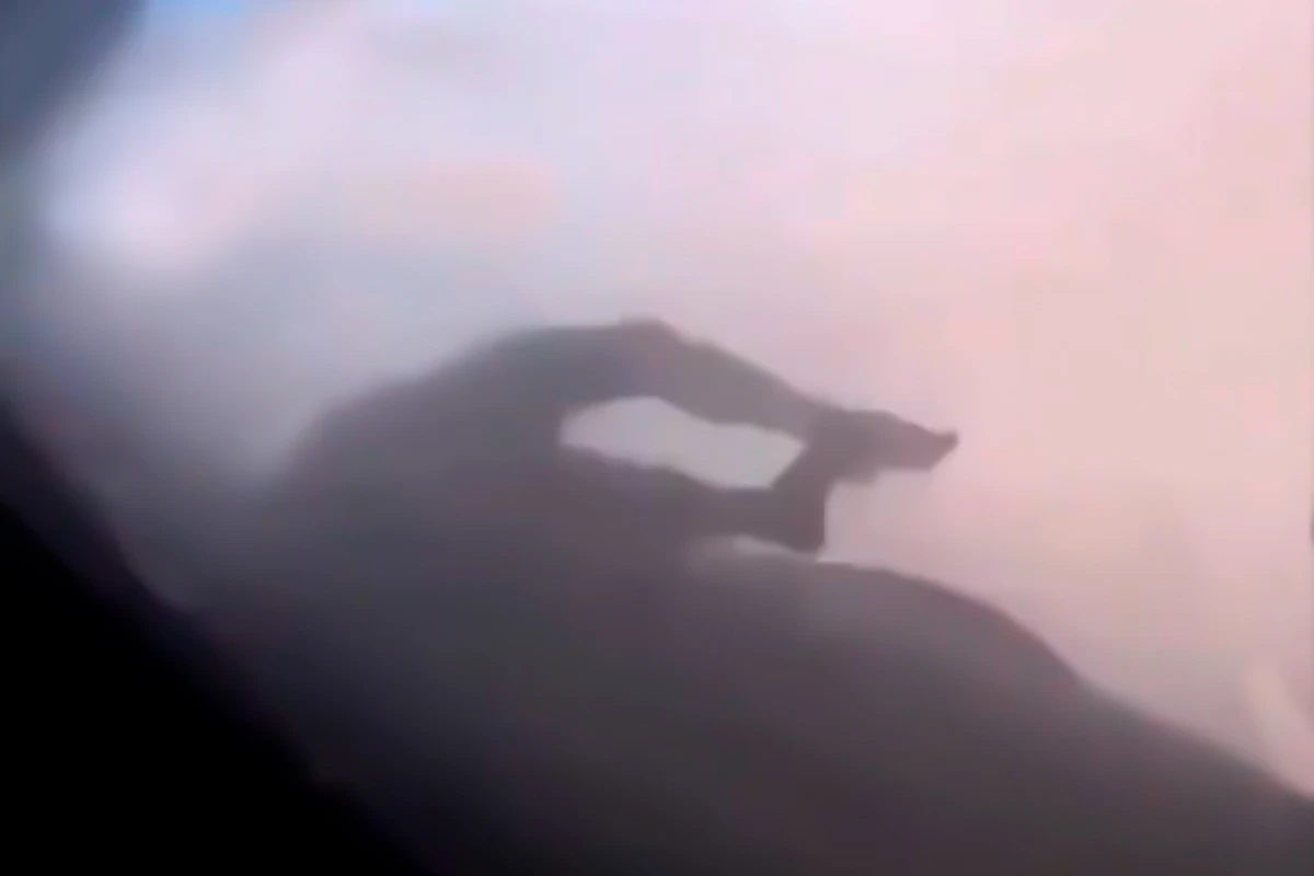 Появилось жуткое ВИДЕО с беженцем, которого зажало шасси летящего из Кабула самолета Появилось жуткое ВИДЕО с беженцем, которого зажало шасси летящего из Кабула самолета