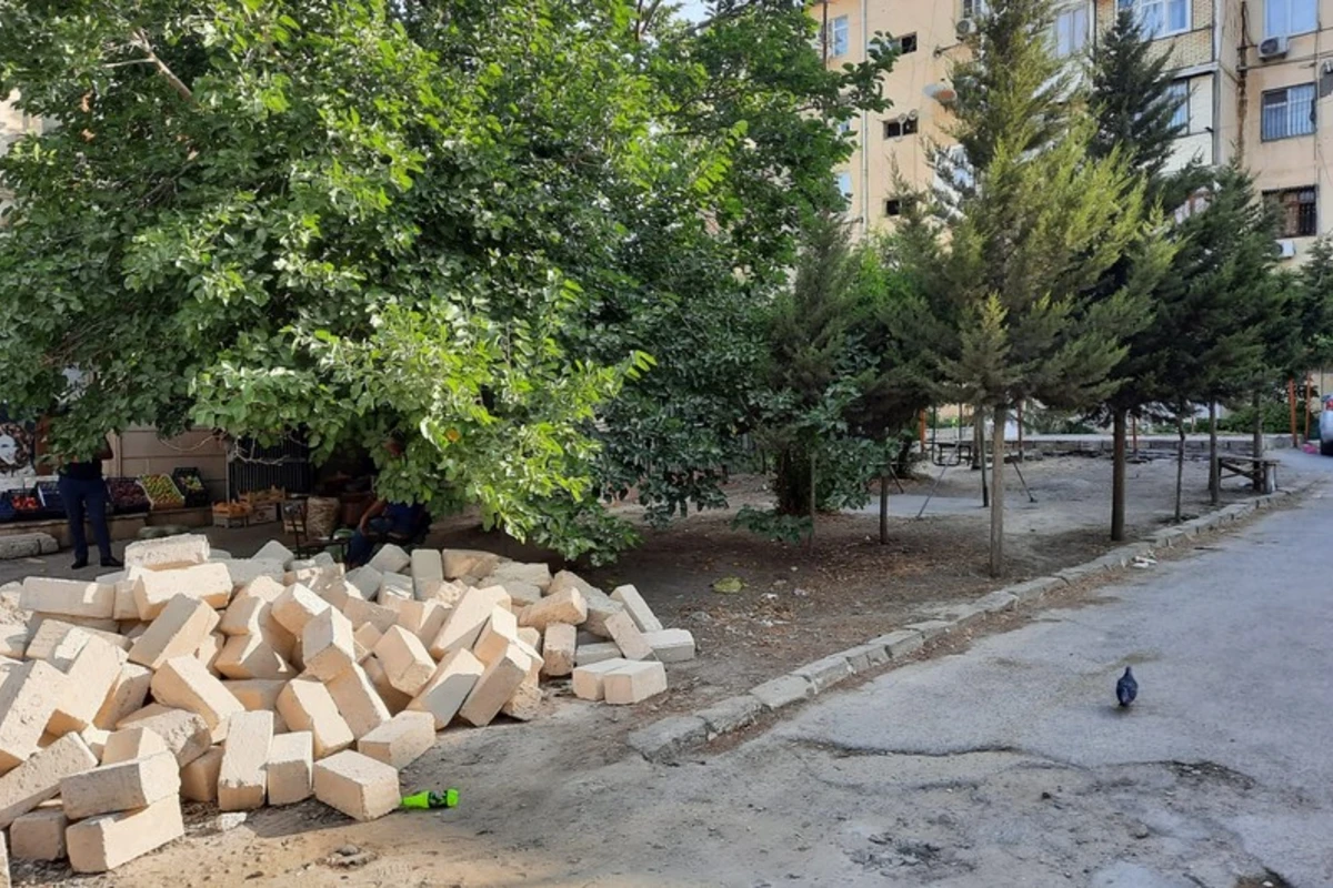 Bakıda ağacların kəsilərək tikinti aparılmasının qarşısı alınıb - FOTO