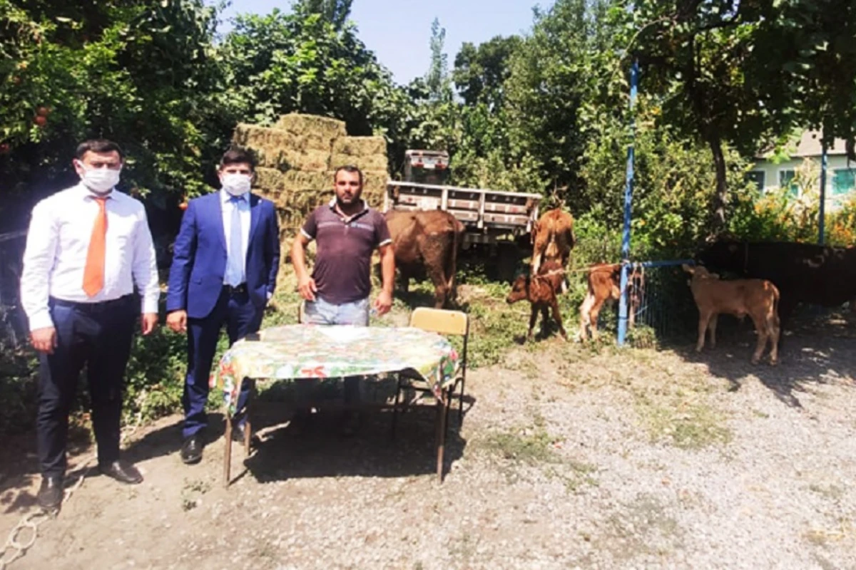 Unibank şəhid ailələrinə dəstək olub