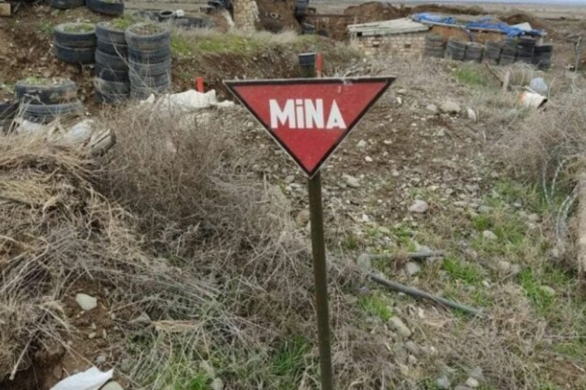 Sərhəd və sərhədyanı rayonlarda təhsil alan məktəblilərə mina təhlükəsizliyi dərsləri keçiriləcək