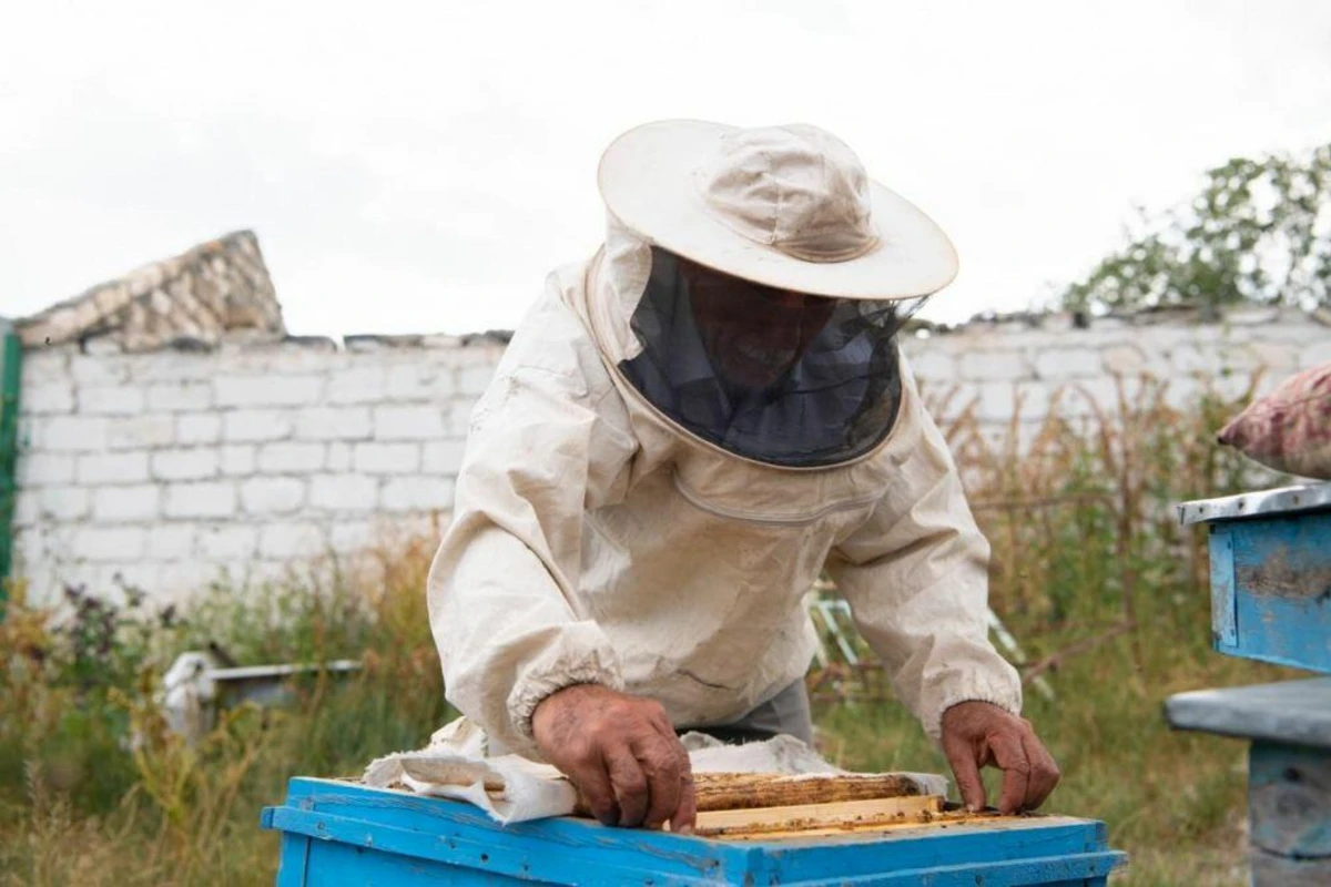 Arı təsərrüfatları işğaldan azad edilmiş digər ərazilərə köçürülə bilər