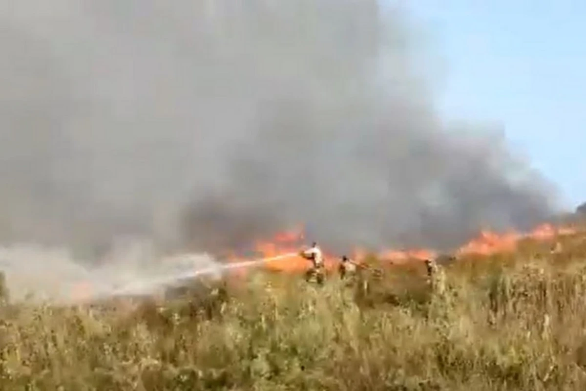МЧС: Ветреная погода затрудняет тушение пожара в Национальном парке Гызылагач
