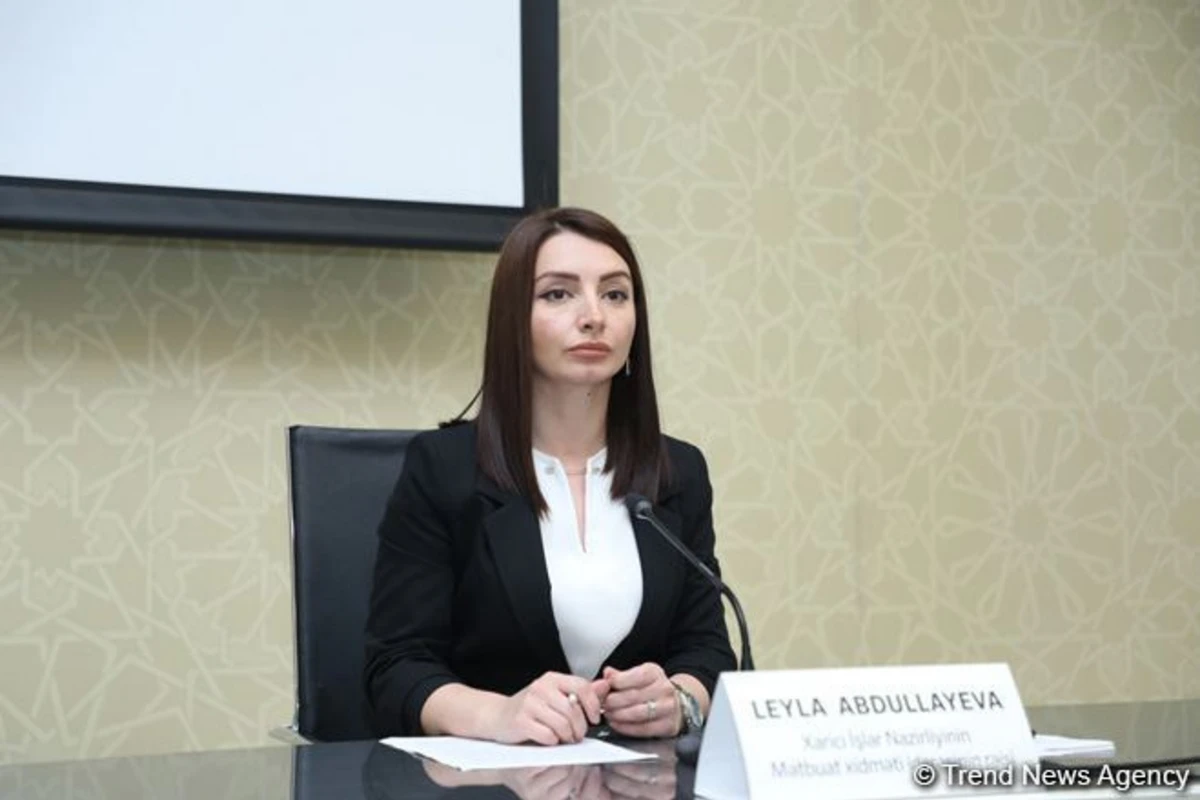 Azərbaycan müstəqilliyini bərpa etdiyi ilk gündən Ermənistanın təcavüzü ilə üzləşib - Leyla Abdullayeva