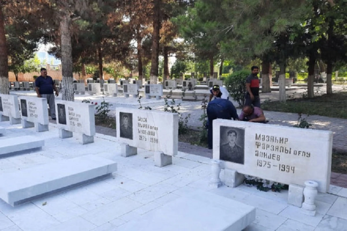 Yevlaxda Şəhidlər xiyabanı təmir olunur - VİDEO