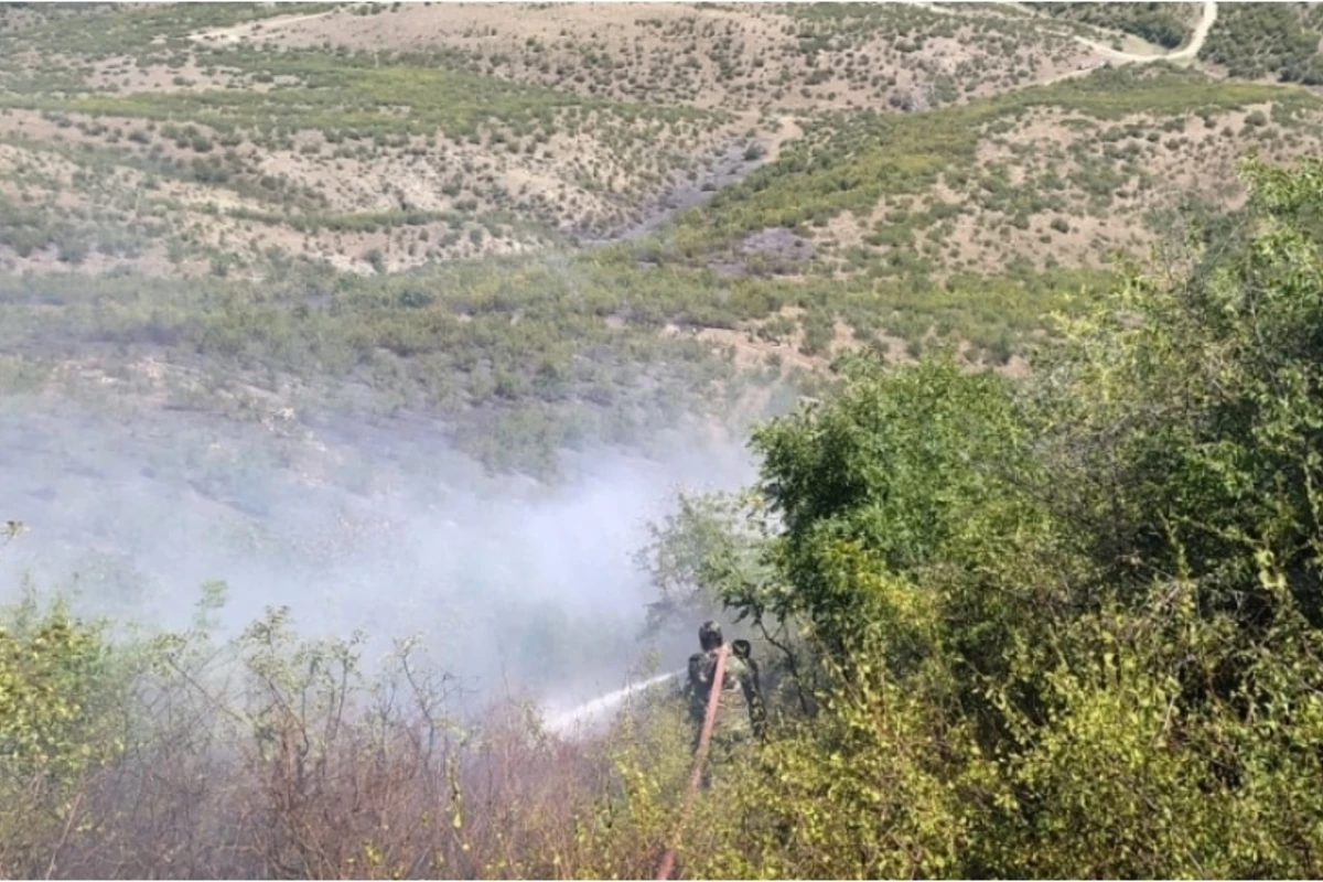 Qəbələdə dağlıq ərazidəki yanğın söndürülüb