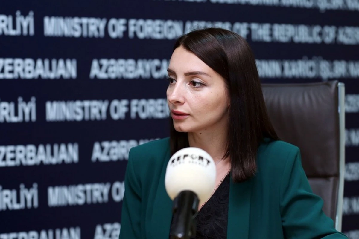 Leyla Abdullayeva: Qarabağ Azərbaycanın tərkib hissəsidir və hər hansı statusdan söhbət gedə bilməz