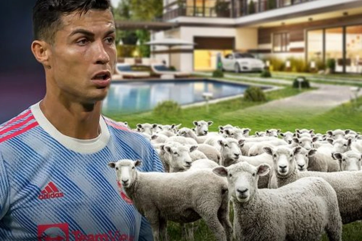 Ronaldo qoyunlara görə 14 milyonluq evindən köçdü - FOTO Ronaldo qoyunlara görə 14 milyonluq evindən köçdü - FOTO