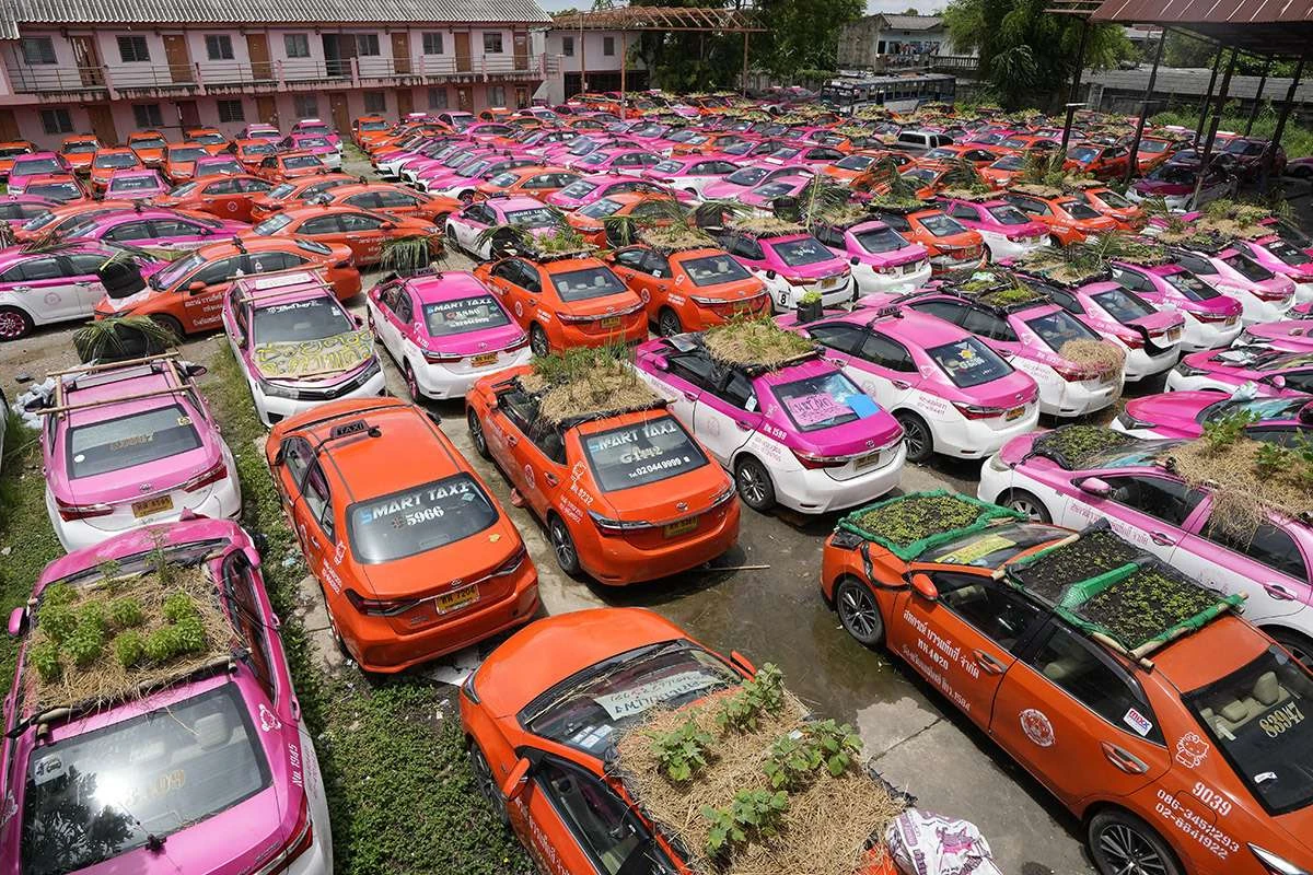 Из простаивающих автомобилей сделали мини-грядки - ФОТО
