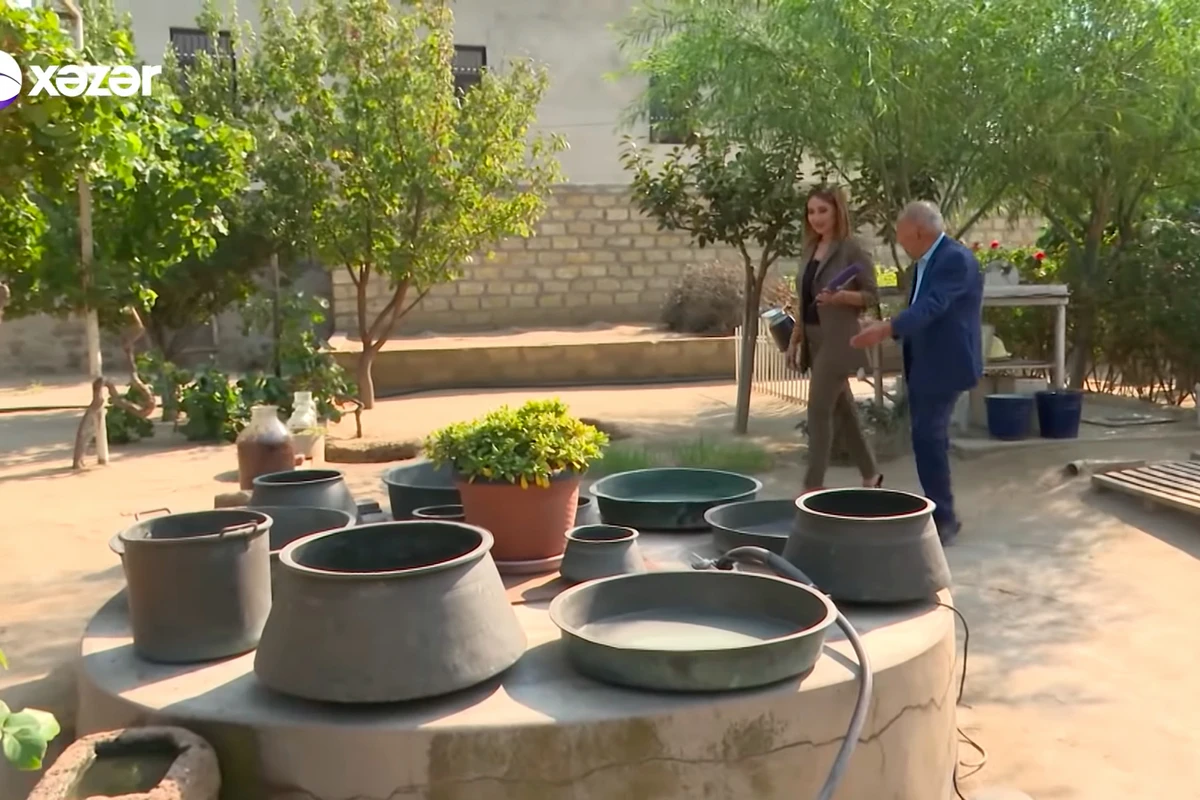 Xalq artistinin muzeyə bənzəyən bağ evi – FOTO/VİDEO