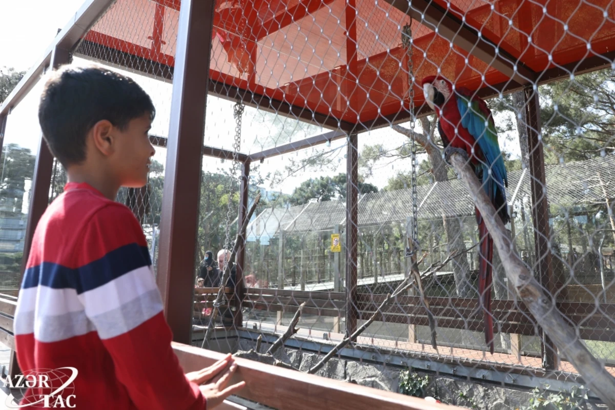 Bakı Zooloji Parkına giriş üçün QİYMƏTLƏR AÇIQLANDI