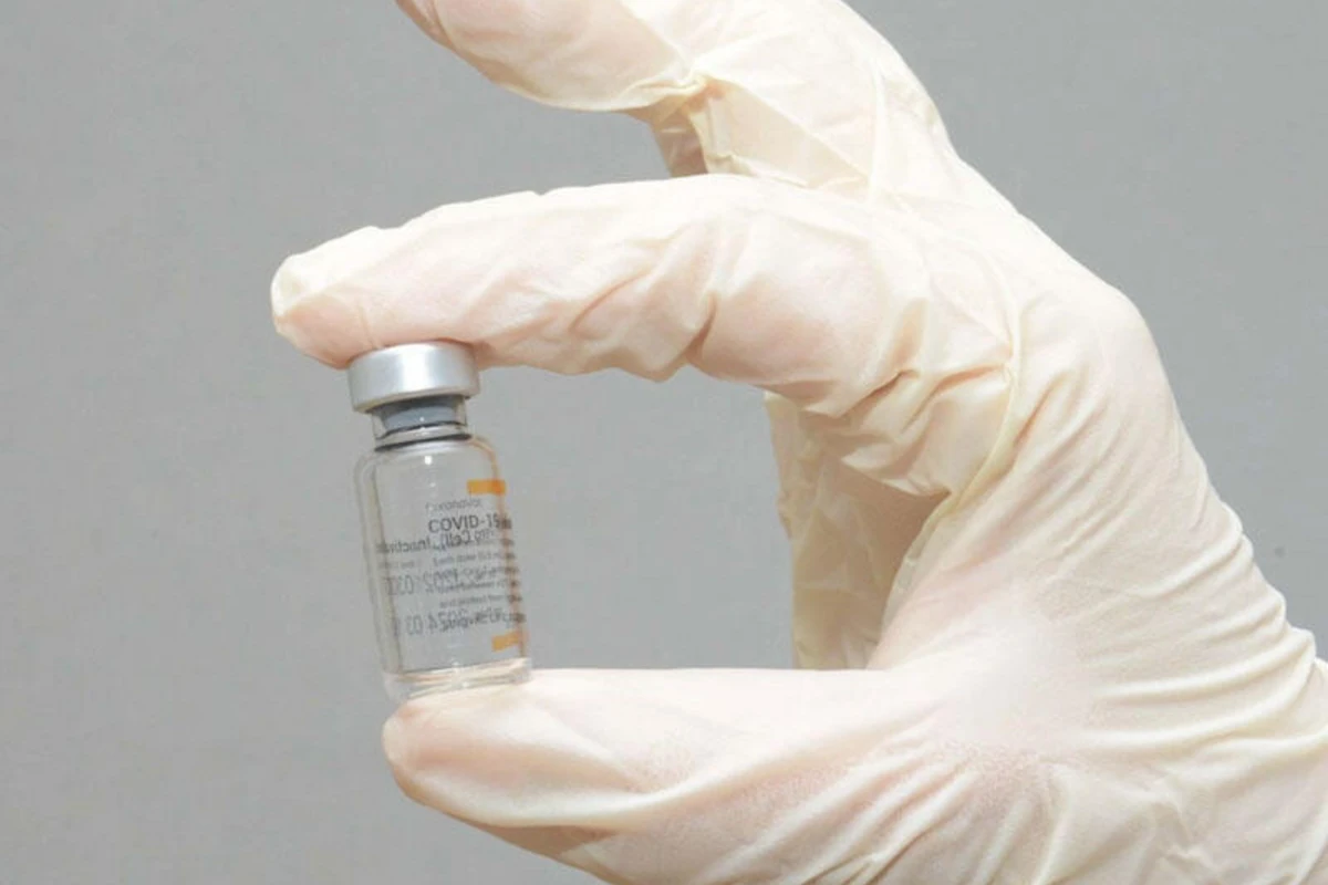 Azərbaycana yeni peyvənd gətiriləcək? - Nazir müavini AÇIQLADI