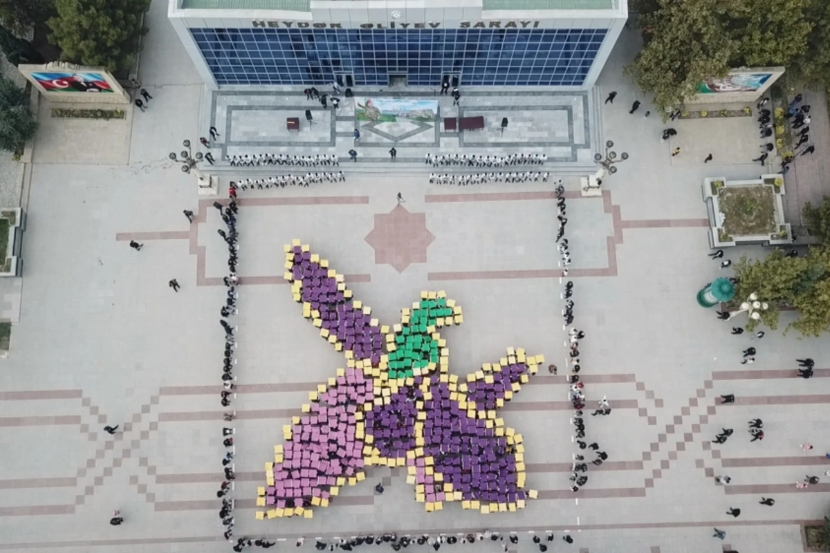 Yevlaxda “Çiçəklənən Xarıbülbül” adlı flaşmob keçirilib - FOTO