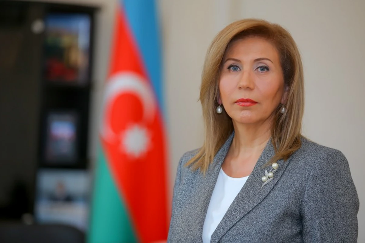 Bahar Muradova bəzi deputatları tənqid edib: “Deyirdilər, kişi gedib ikinci arvad alsın”