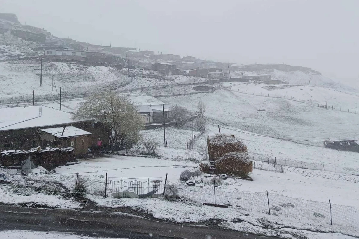 Sabah bu ərazilərdə qar yağacaq