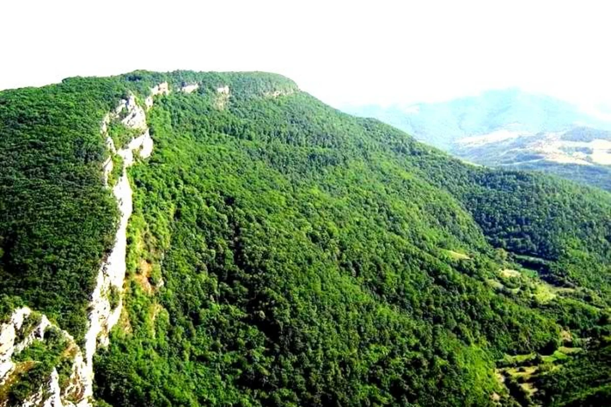 Cıdır düzündə ağac əkilib, Şuşada Topxana meşəsinin bərpasına start verilib