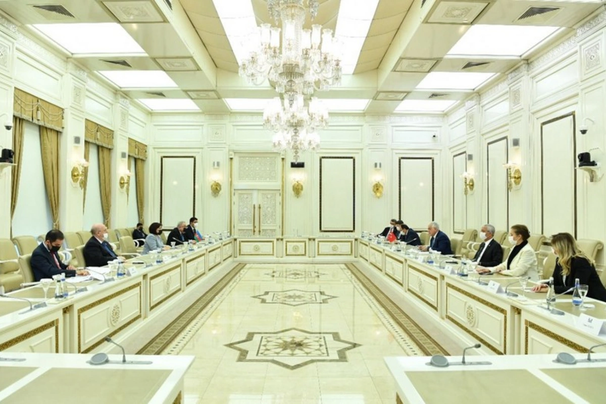 Sahibə Qafarova Şamil Ayrımın başçılıq etdiyi nümayəndə heyəti ilə görüşdü