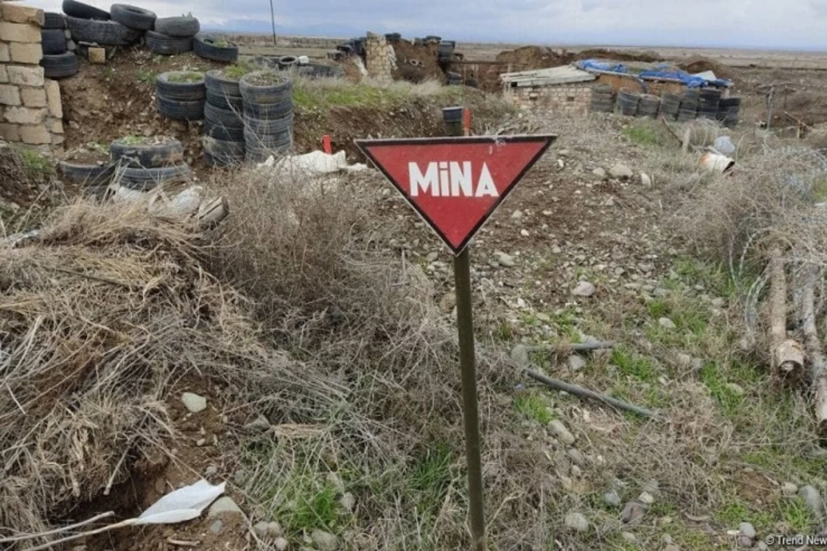 Prokurorluq minaya düşən “Azərişığ”ın əməkdaşı ilə bağlı məlumat yaydı