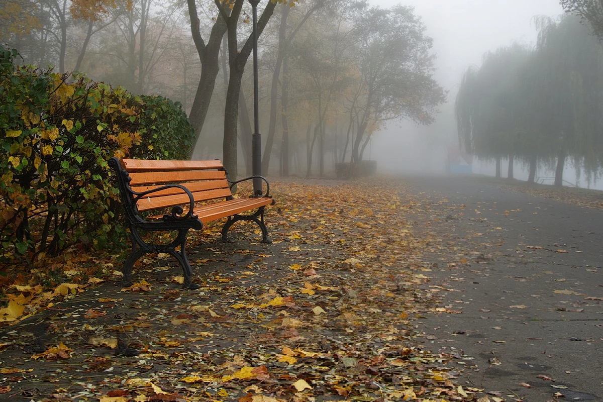 Parkdan oturacaq oğurladılar Parkdan oturacaq oğurladılar