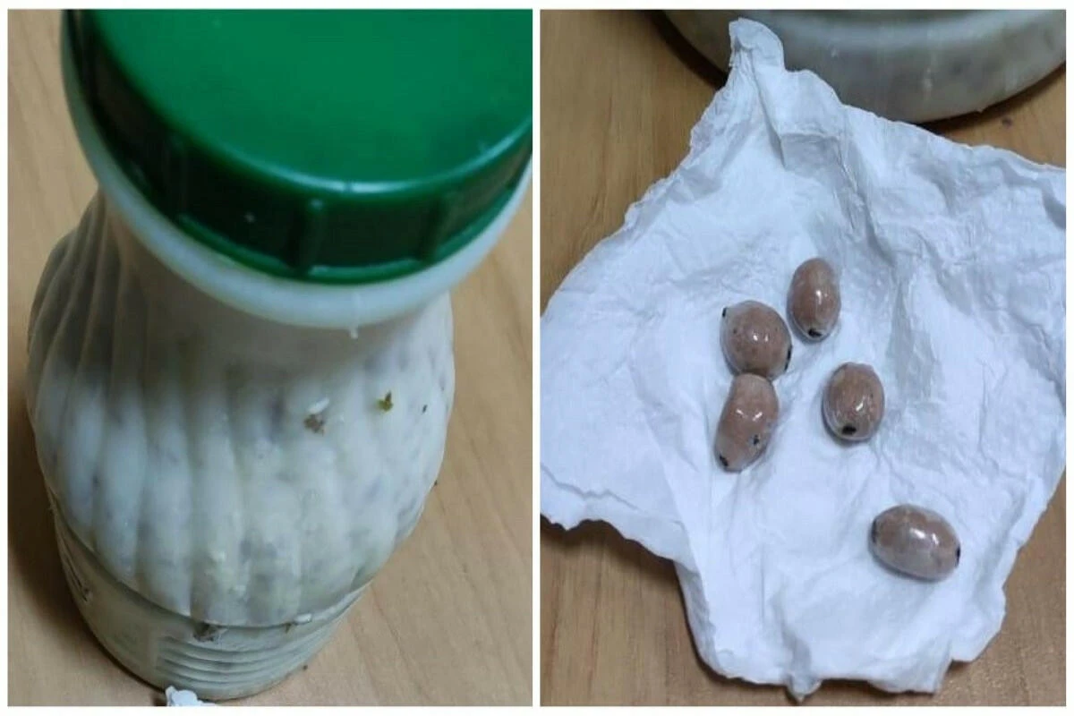 Bakıda həbsdəki atasına dovğanın içində narkotik apardı Bakıda həbsdəki atasına dovğanın içində narkotik apardı