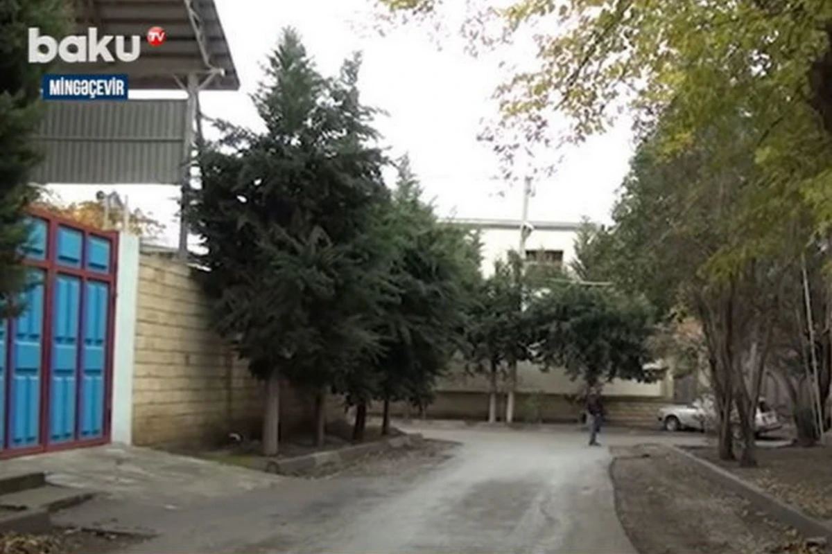 Жители Мингячевира требуют переименовать улицу - ВИДЕО