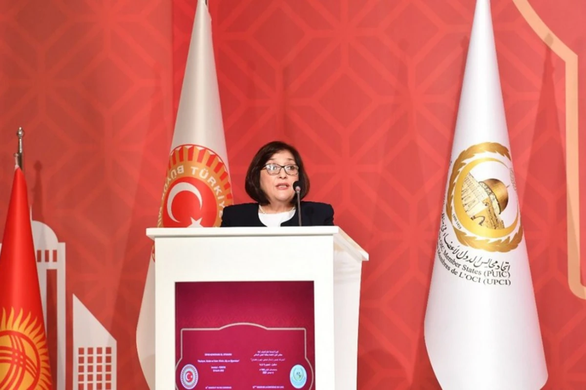 Sahibə Qafarova: Ermənistan regionda vəziyyəti gərginləşdirən hərəkətlərə yol verməməlidir