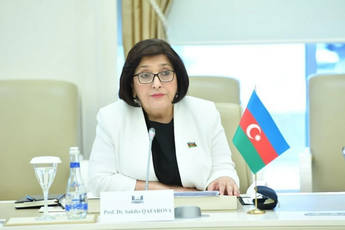 Sahibə Qafarova: “İlham Əliyev Azərbaycanı modernləşdirmək missiyasını uğurla yerinə yetirib”