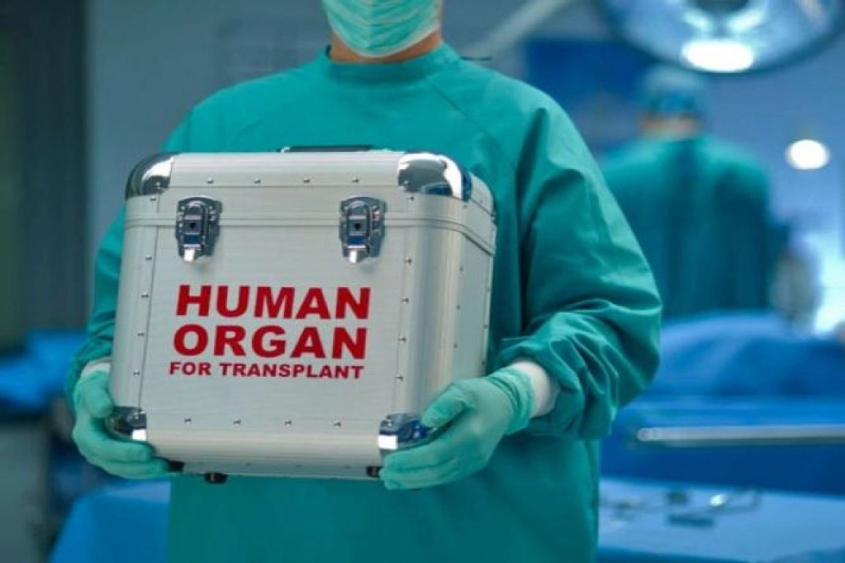 Xaricdən Azərbaycana orqan gətirilməsinə dair qayda hazırlanıb