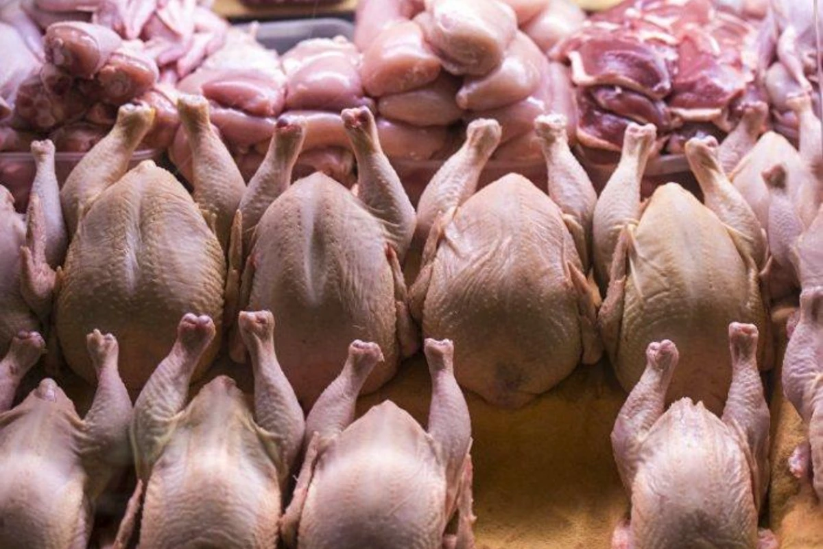 Hökumət toyuq ətinin qiymətinin artmaması üçün qərar qəbul edib